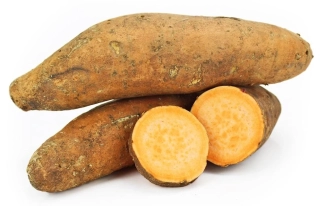 BATÁTY ČERSTVÉ BIO - 1kg