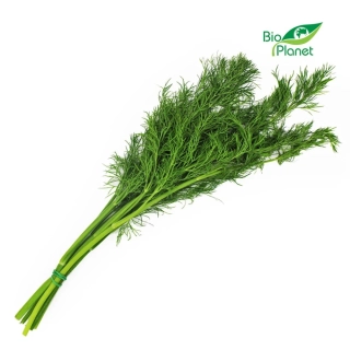 ČERSTVÝ BIO KÔPOR ZVAZOK (cca 40 g)