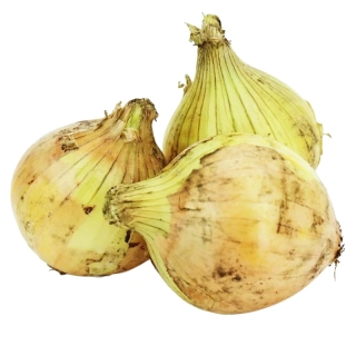 ŽLTÁ CIBUĽA BIO 1kg